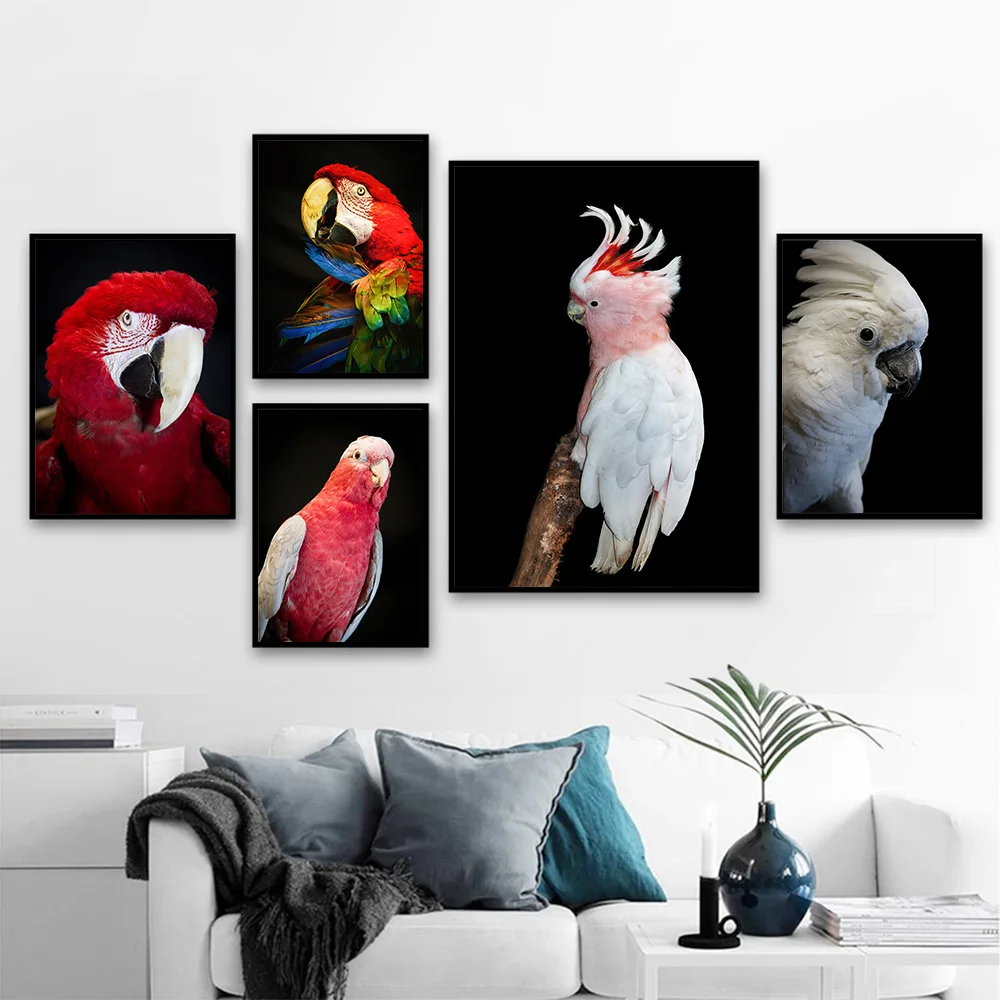 Белая Картина на холсте какаду австралийское животное Красный Попугай постер с