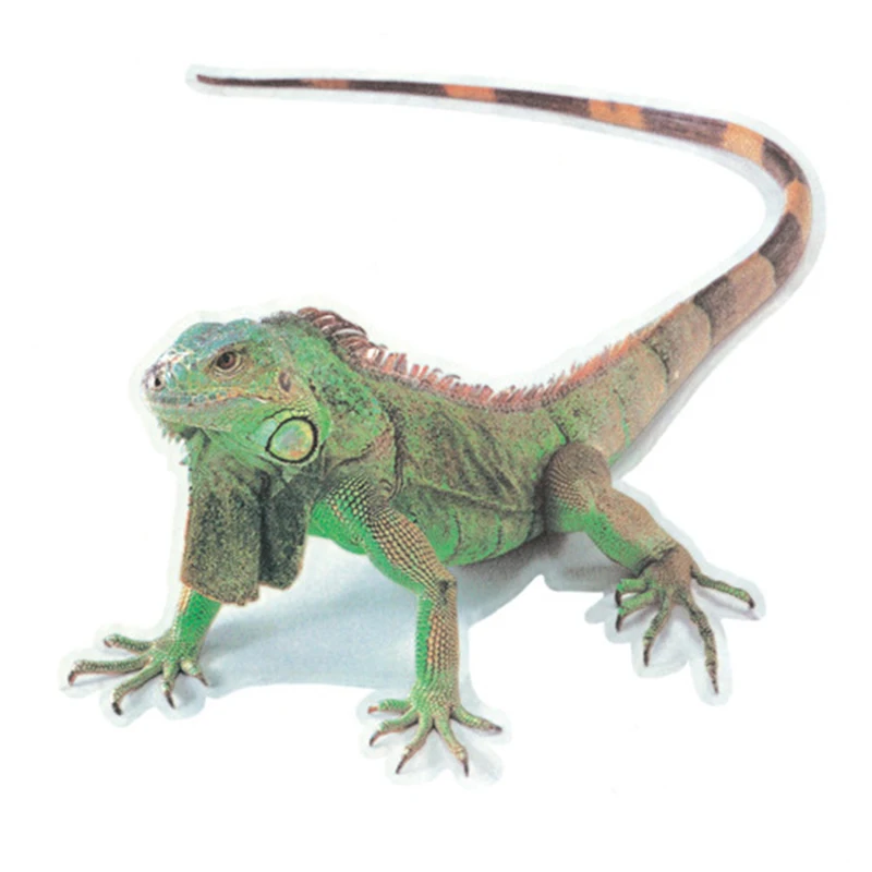 

2020 New Three-dimensional Animal Car Stickers, Simulation Car Tail Stickers, Realistic Modified Stickers for Car for Motocycle