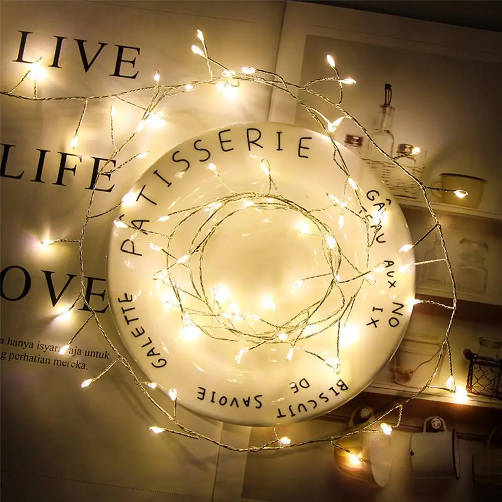 

2M 5M Copper Wire LED String Lights Firecracker Fairy Garland Light for Christmas Window Wedding Party Battery Operated