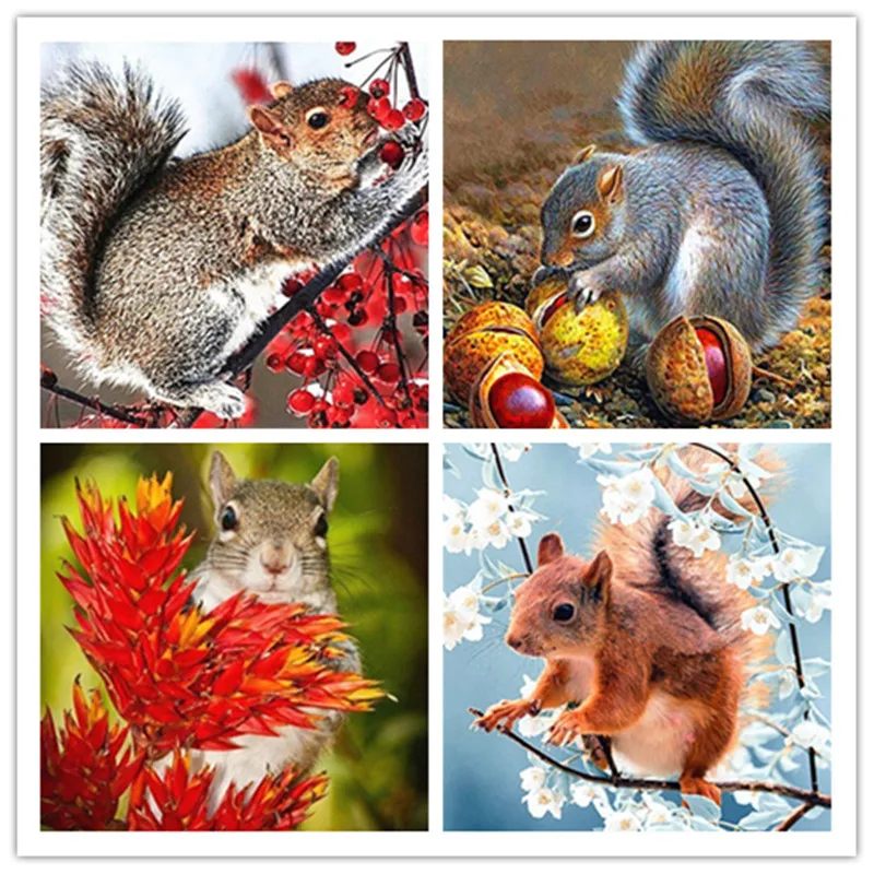 Алмазная картина животные белка с алмазной вышивкой вышивка крестиком бурение