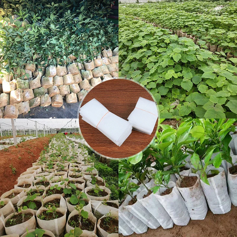 

Биоразлагаемый нетканый материал экологически чистый вентилируемый пакет для выращивания растений в саду