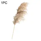 1 шт. тростниковая трава, сушеные цветы, украшение для дома, Натуральные Сушеные маленькие пампасы, трава, тростники, Цветочный декор