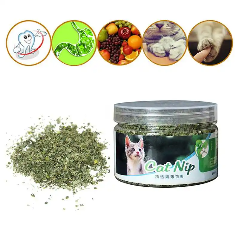 

Natural Premium Catnip Cattle Grass Menthol Flavor Funny Cat Toys Pet Healthy Safe Edible Treating Organic 100% 10g/20g/30g 2021