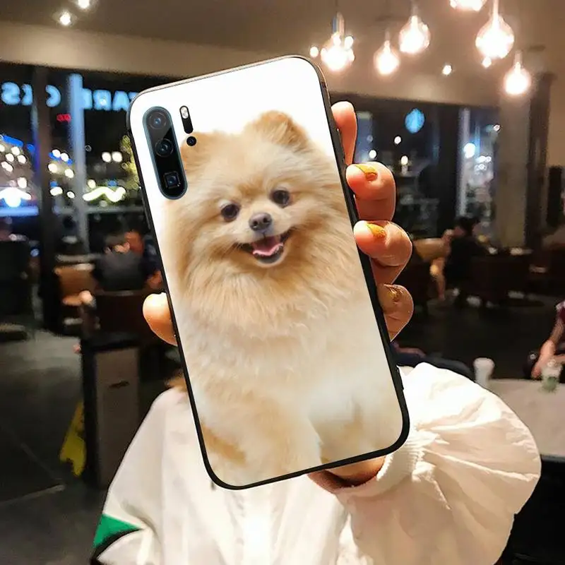 

Cute Funny French Bulldog Phone Case funda cover coque For Huawei honor Mate P honor 9 8x 20 10 i 30 lite 40 pro