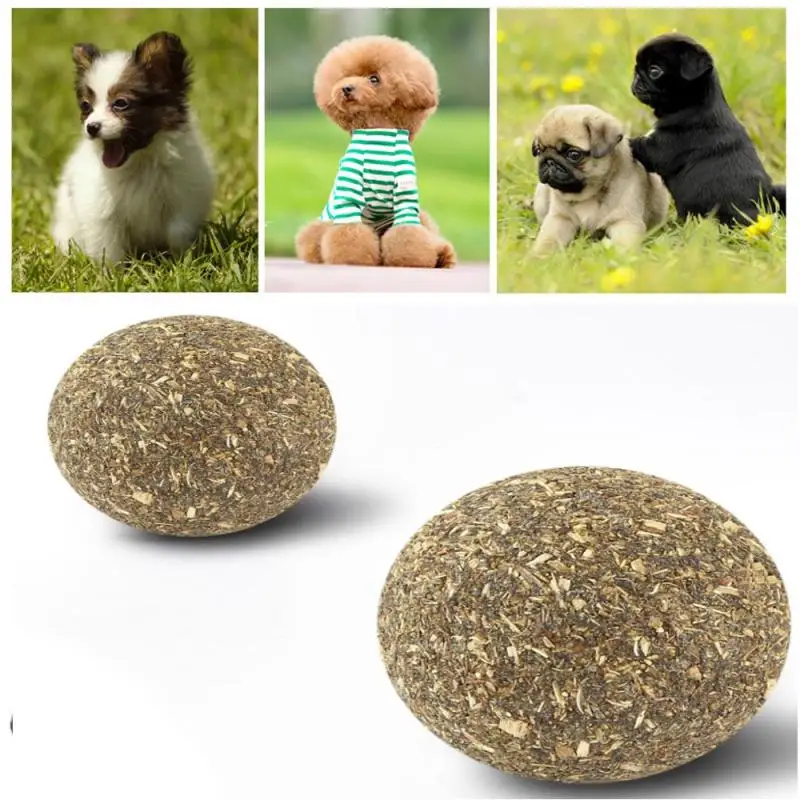 5/3 шт. котенок кошка натуральный лечения за мячиком съедобные игрушка пользу дома