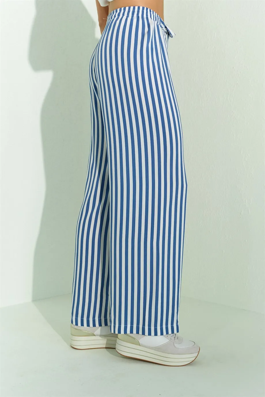 

Women Blue Striped Fitted Temporary Shed Striped Pants