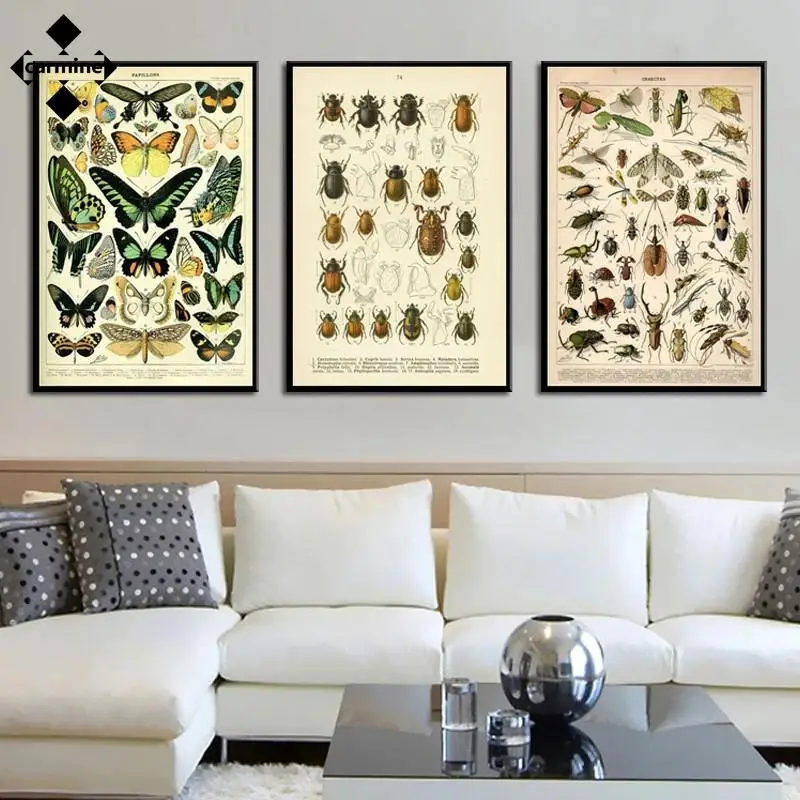 

Vintage Insect Specimen Canvas Painting Retro Style Posters and Prints Nordic Wall Art Printing Pictures for Home Interior Decor