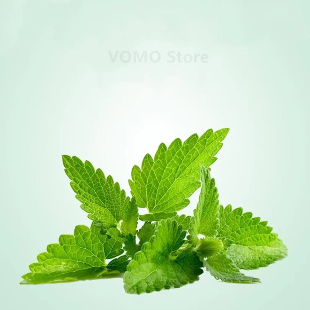 Aditivo de condimentos para desintoxicaci&oacute;n, 100g/500g de alcohol natural puro 99.9%, mentol, metanol, perfume s&oacute;lido, tratamiento t&eacute;rmico-2