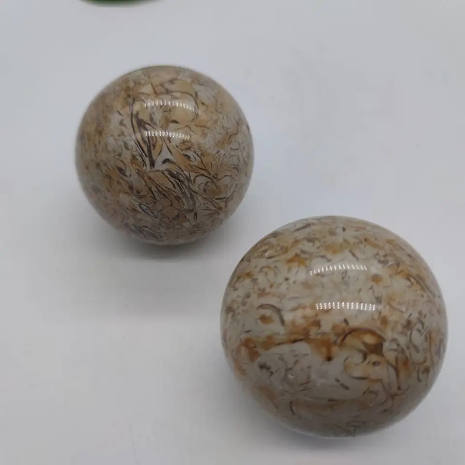 Динозавр костяная Сфера динозавр натуральный ископаемый Агат декоративный