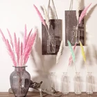 10 цветов, сушеные цветы россыпью, искусственные растения, ветка, Пампа, трава, нефраммиты, искусственный цветок, букет, Декор для дома и свадьбы