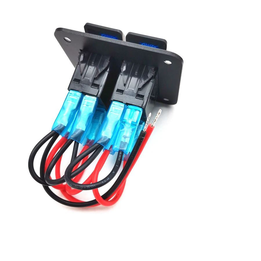 Рисунок 3 - Панель с двумя светодиодными лампами 12 В + 24 В