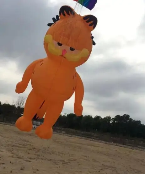 Детский змей радужная игрушка взрослых индикатор ветра | Игрушки и хобби