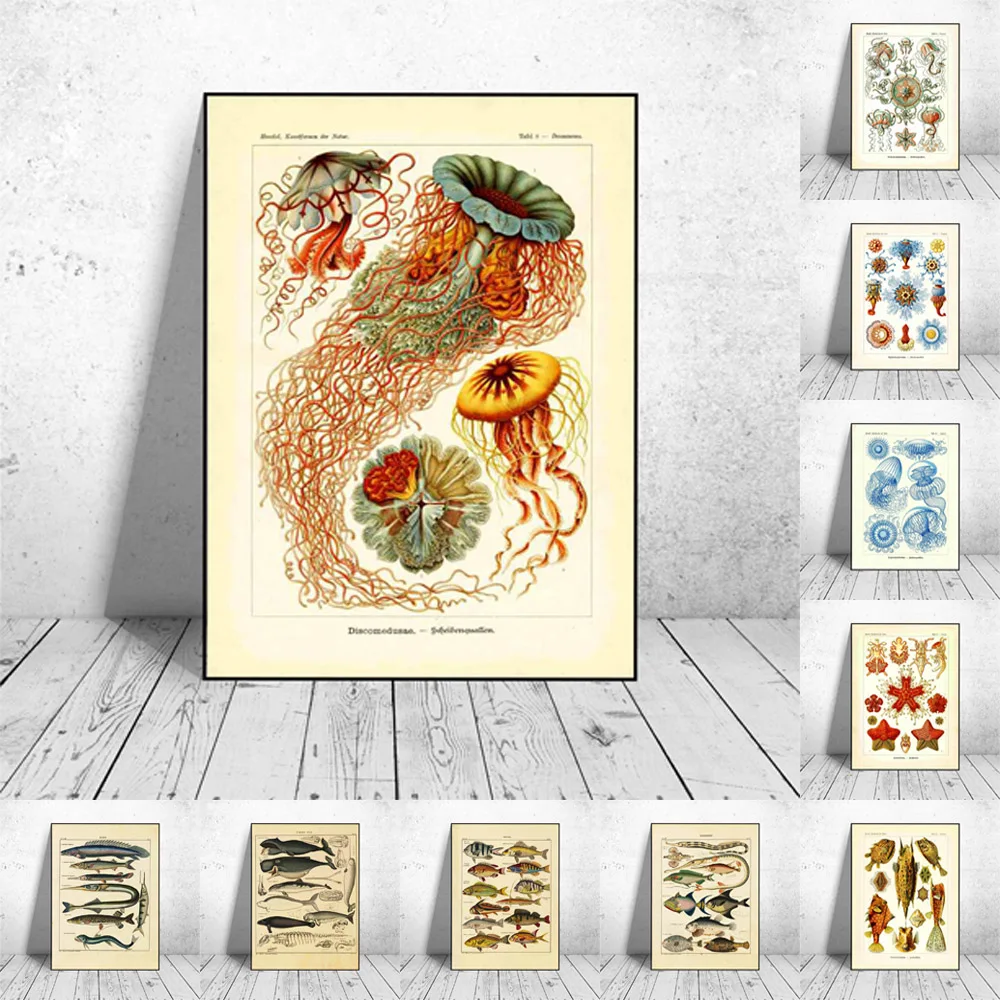 

Скандинавская ретро-Картина на холсте морская бионаука плакат кухня гостиная коридор Настенная картина Декор для дома Фреска