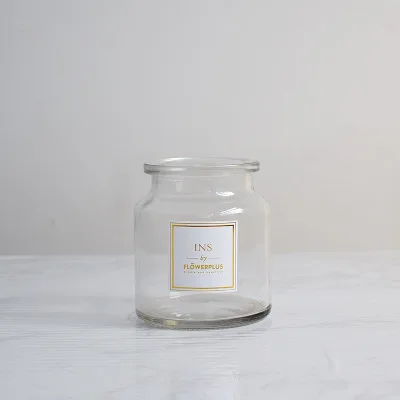 Набор прозрачных стеклянных декоративных ваз для гидропоники | Дом и сад