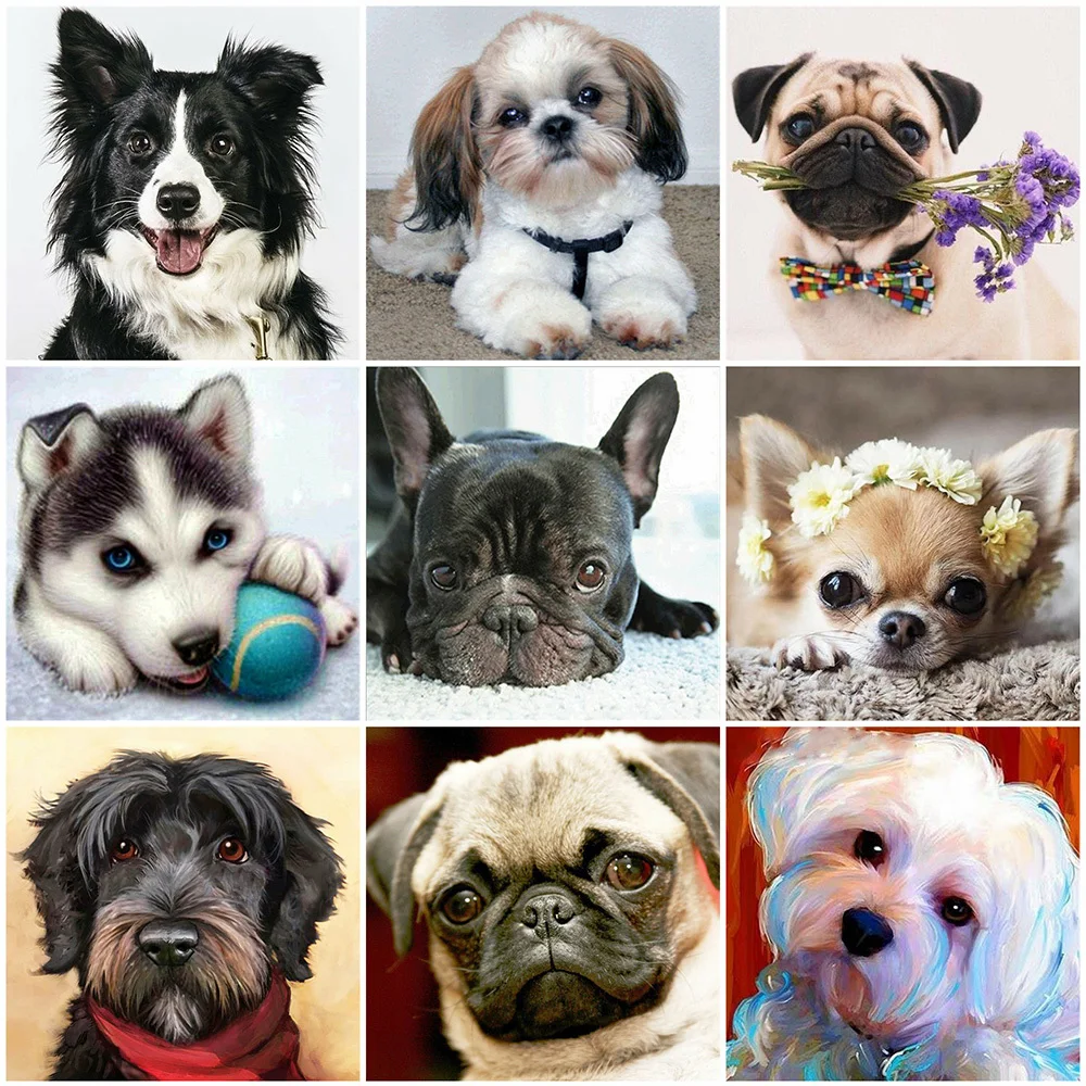 HUACAN 5D DIY Diamond Painting Dog Full Square Round Rhinestone Kit Diamond Embroidery Animal Mosaic Christmas Gift Art