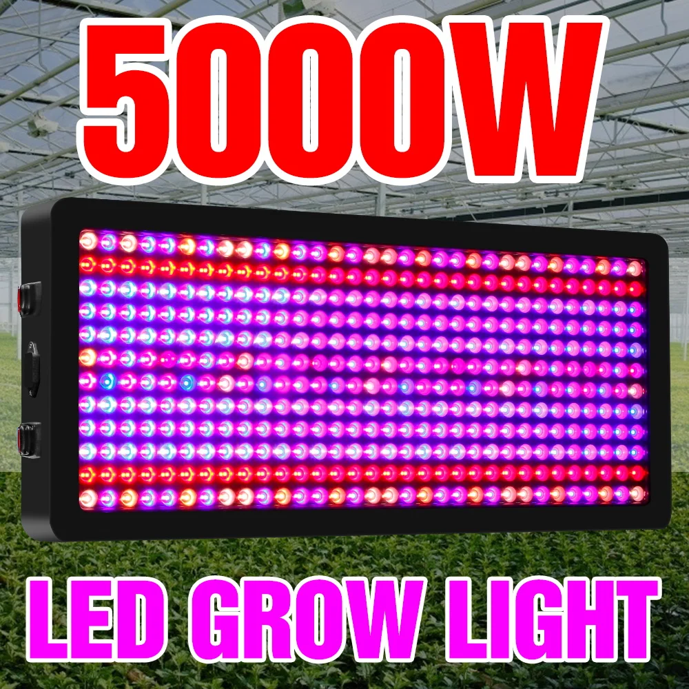 LED Full Spectrum Plant Grow Lamp 220V LED Phyto Light Bulb 2000W 3000W 4000W 5000W LED Quantum Board Hydroponic Planting Light