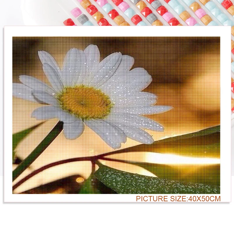 

Small Daisy Flower Sea Diy Diamond Painting Full Wheel Diamond Embroidered Landscape Picture Rhinestone Wall Decoration