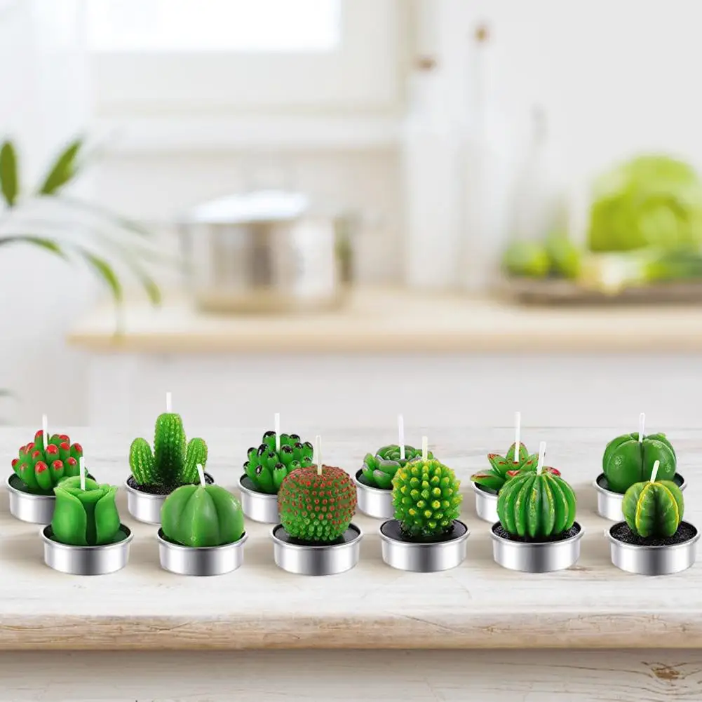 Искусственные растения суккуленты свечи кактус День Святого Валентина роза