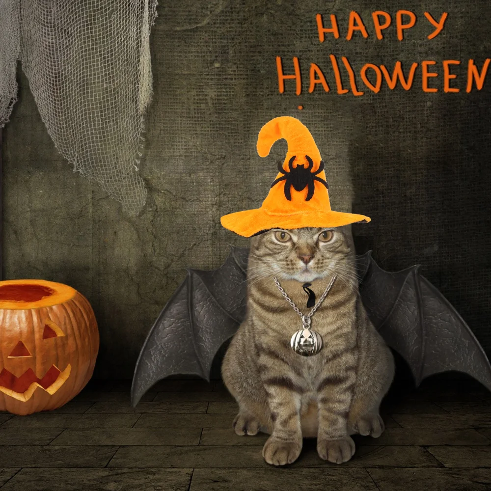 1 шт. изящная шляпа для кошек красивый головной убор домашних животных|Кепки