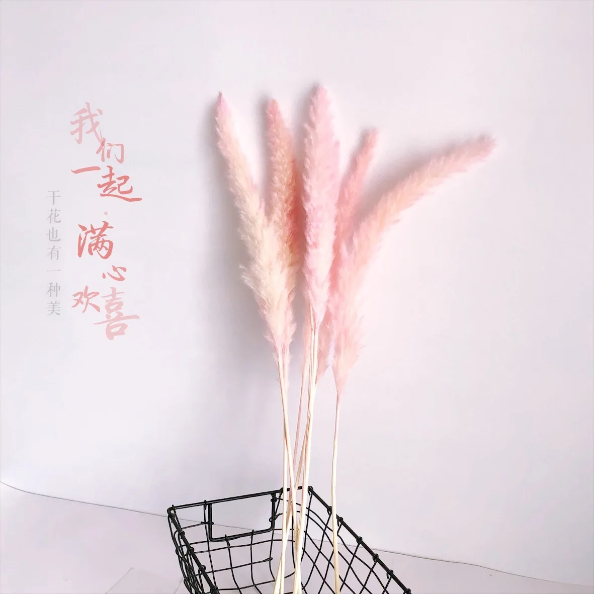 Сушеные цветы Reed Pink Pampas трава цветочный магазин украшение реквизит для
