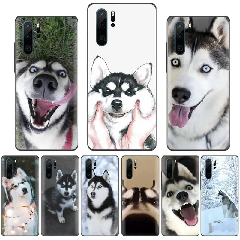 Хаски животных Собака изящный корпус под плетенную сумку чехол для телефона Funda