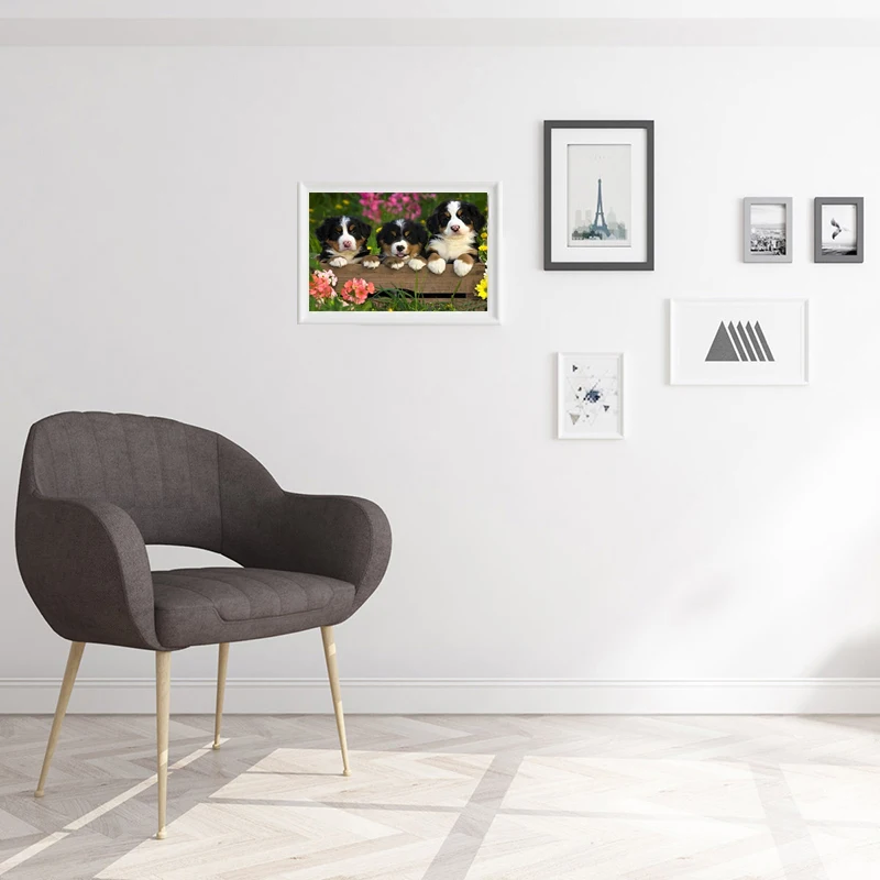 DIY 5D алмазная картина Бернская горная собака Алмазная вышивка крестиком животное