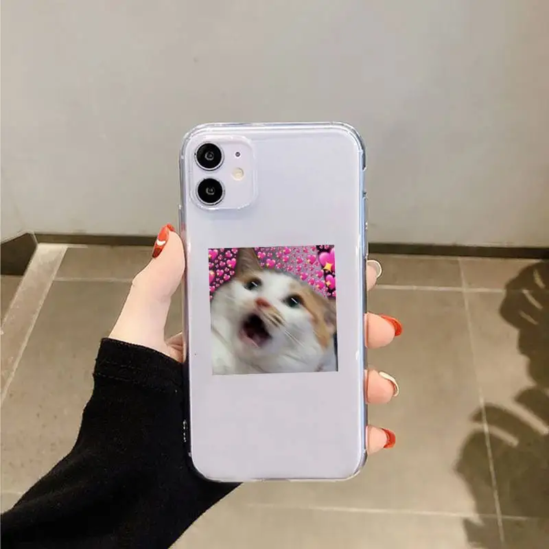 

cat cute animal aesthetics Phone Case Transparent for iPhone 6 7 8 11 12 s mini pro X XS XR MAX Plus