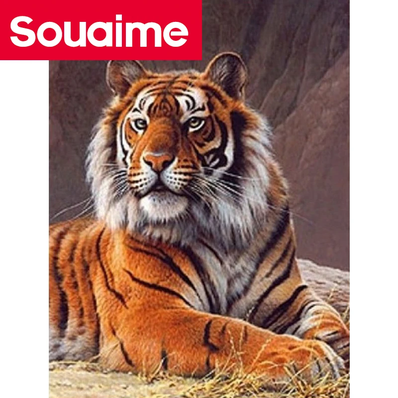 5D DIY алмазная живопись Животные тигр полный квадрат/круглая дрель вышивка