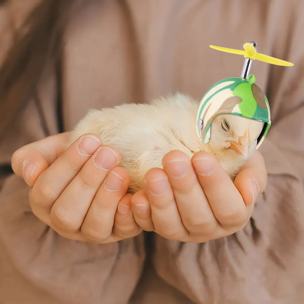 

2pcs Small Pet Safety Helmet to Protect Head of the Chicken Adjustable Helmet