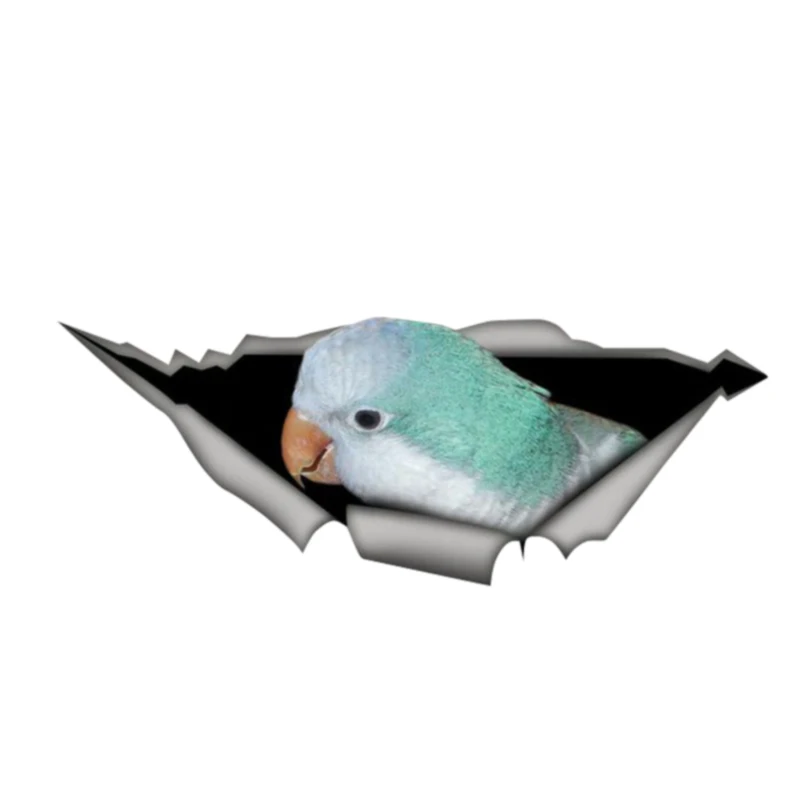 

Funny Car Sticker Accessories Blue Quaker Parrot Torn Vinyl Car Window Waterproof Styling Bumper Accessories PVC 13cm X 5cm