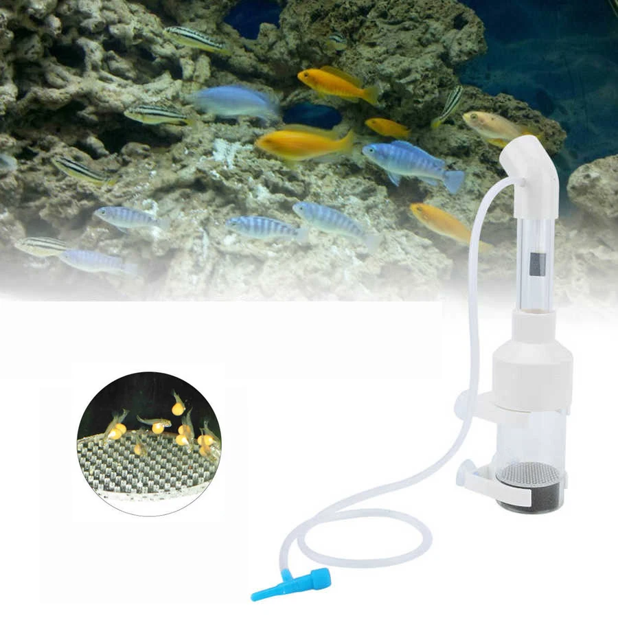 Акриловые Короткие аквариумные крышки искусственные яйца для рыбы вместо рта 25