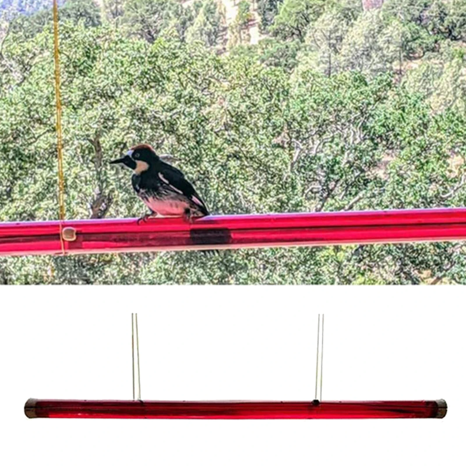 

Outdoor Leak-Proof Hanging Hummingbird Feeder Pipe Yard Poratble Easy to Use