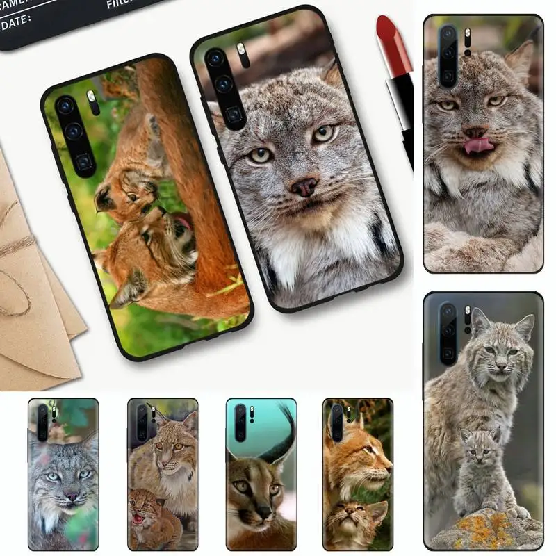 

African Lynx Caracal Big Cat Phone Case For Huawei honor Mate mate P 10 9X 10i 20 30 40 y7 nova 5t lite pro p smart 2019