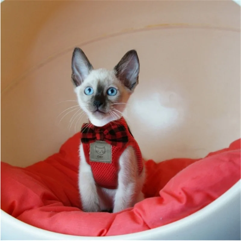 Воздухопроницаемая шлейка поводок для кошек сетчатая одежда котят маленьких