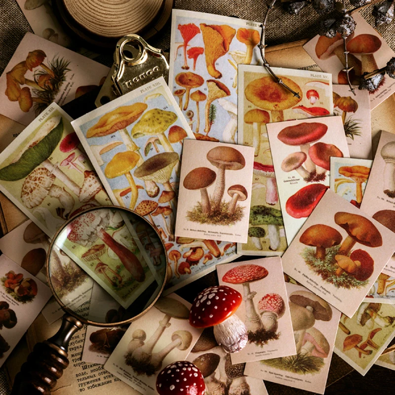 60 шт. винтапосылка наклейки с изображением морских животных и растений|Наклейки|