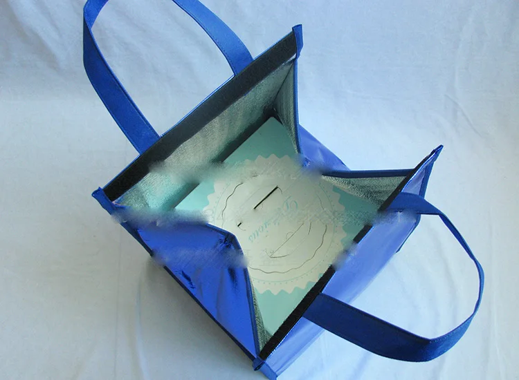 6-8-10 дюймов изолированная сумка-холодильник для пикника Сумки Торт Пицца