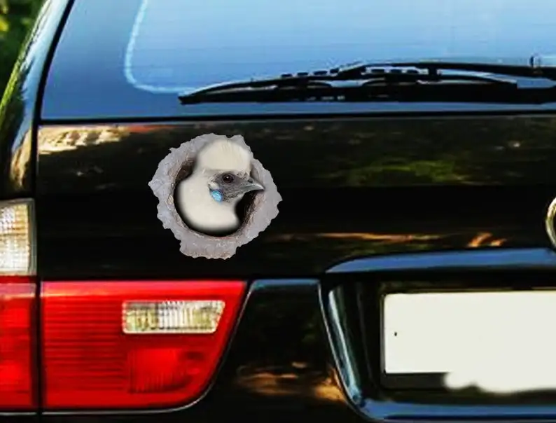 

2021 White Silkie chicken car decal , funny hen car sticker , white chicken decal