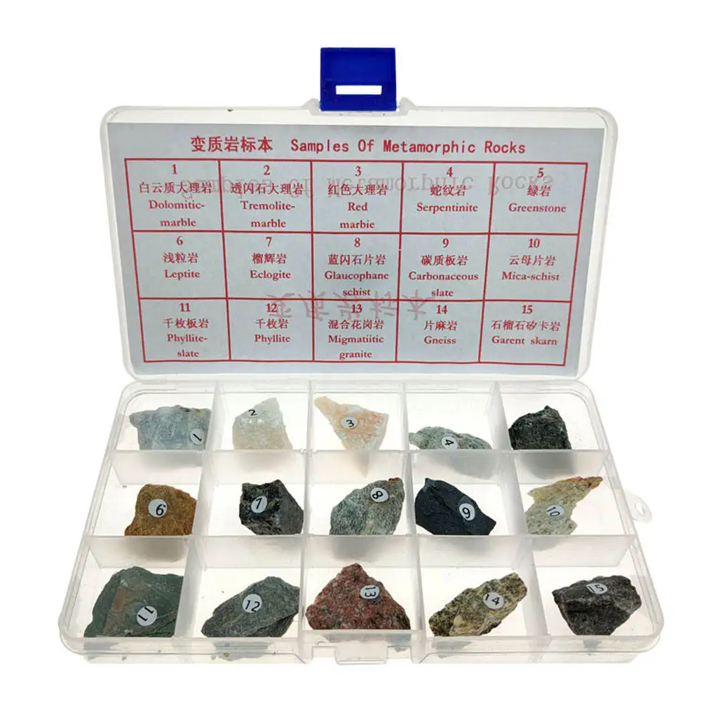 

30x Igneous Rock Specimen Igneous Real Stone Teaching Aid w/ Box