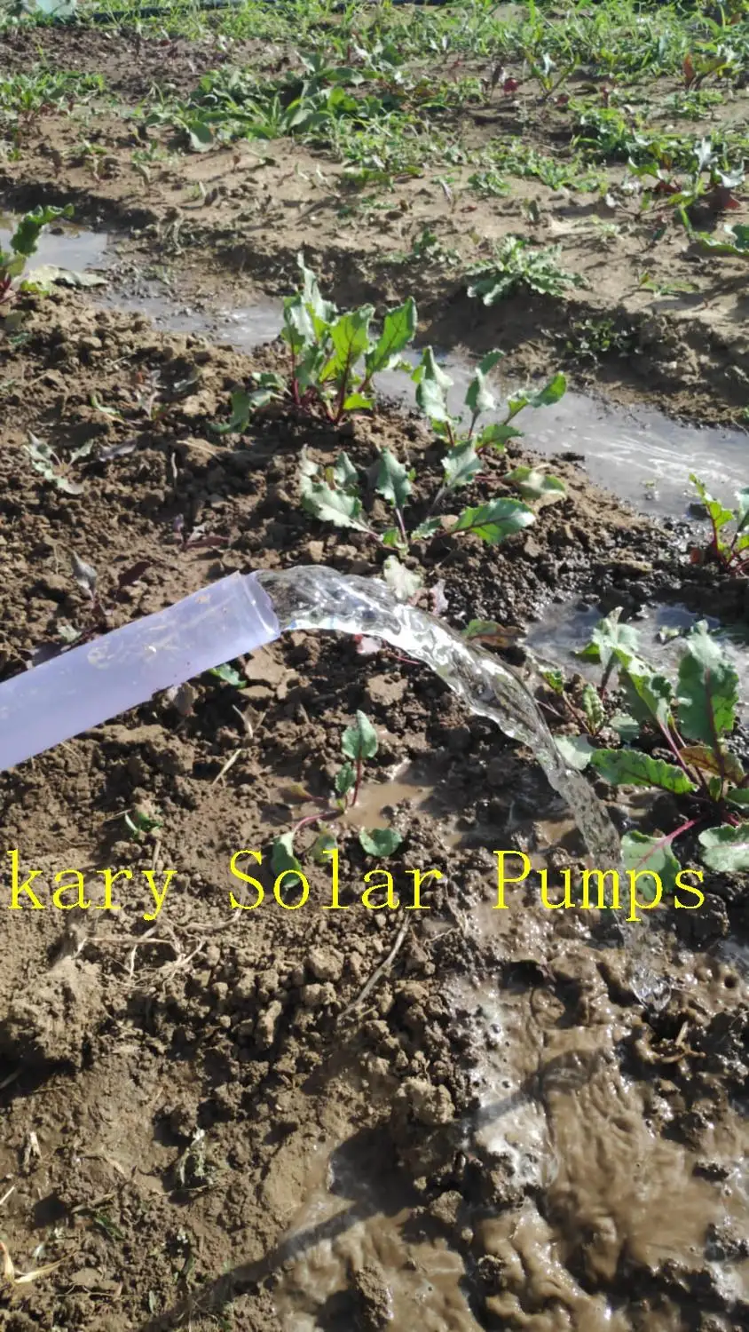 Kary 2 дюймовый Максимальный подъем 30 м dc насос в том числе доставка хороший дизайн