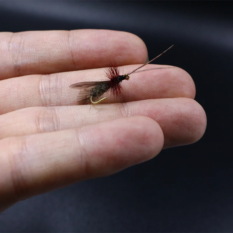 Королевские Sissi 36 шт./пакет реалистичные caddis крылья 2 размера смешанные предварительно вырезанные Мухы завязывания крылья, полет материалы для связывания мухловая форель муха приманка