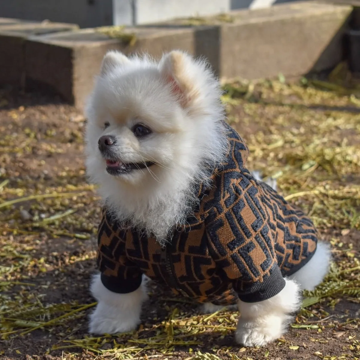

Luxury Dog Clothes Winter Dog Hoodies Fashion Dog Jacket Classic Designer Pet Clothes Coat French Bulldog Puppy Clothes
