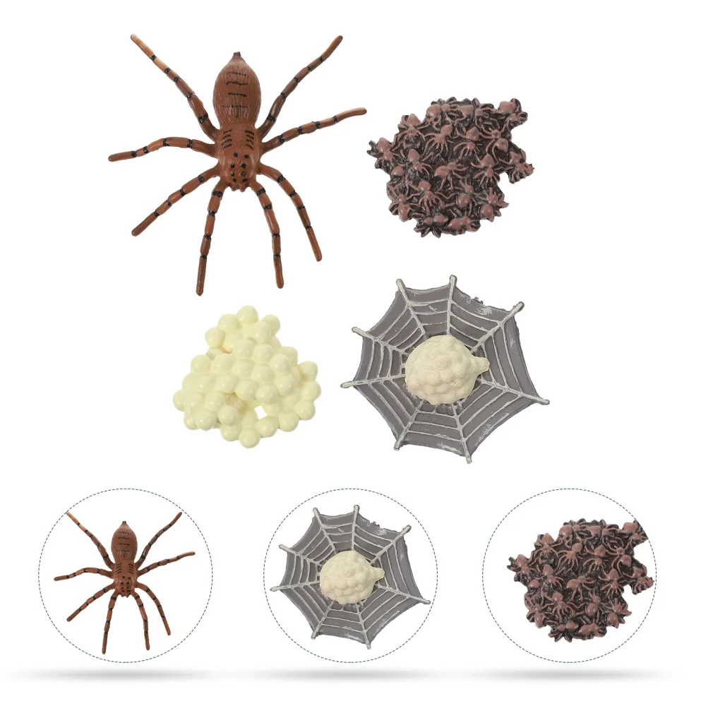 

1 Set Simulation Cycle of a Spider Model Growth Model Cycle Action Figures