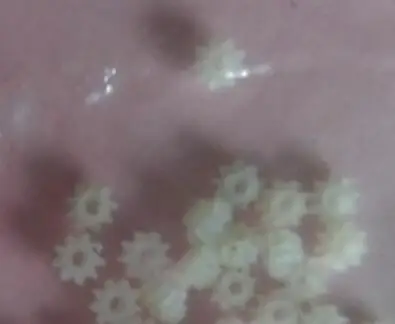 Новый объектив Апертурная передача запасные част для Nikon 10-30 мм 1:3.5-5 6 Очки