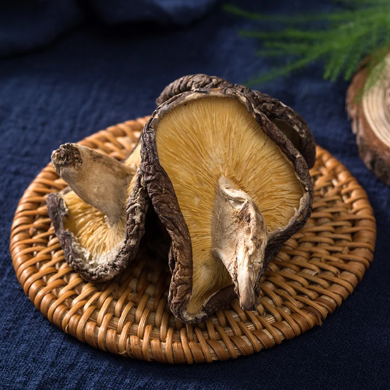 

Bacteria beneficial basswood basswood mushroom mushroom mushroom mushroom and 200 g