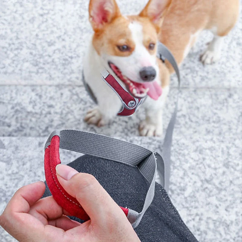 Аксессуары для домашних питомцев светящаяся Регулируемая шлейка собак щенков