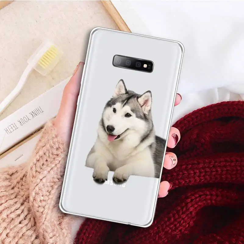 

Husky Kawaii Wolf cute Phone Case Transparent For Samsung Galaxy A 71 21s S note 8 9 10 plus 20 ultra