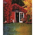 Реквизит для фотостудии Nitree, фон с изображением леса, Красного листа, Крытый Дом, Виниловый фон для путешествий, ПОРТРЕТНАЯ ФОТОГРАФИЯ