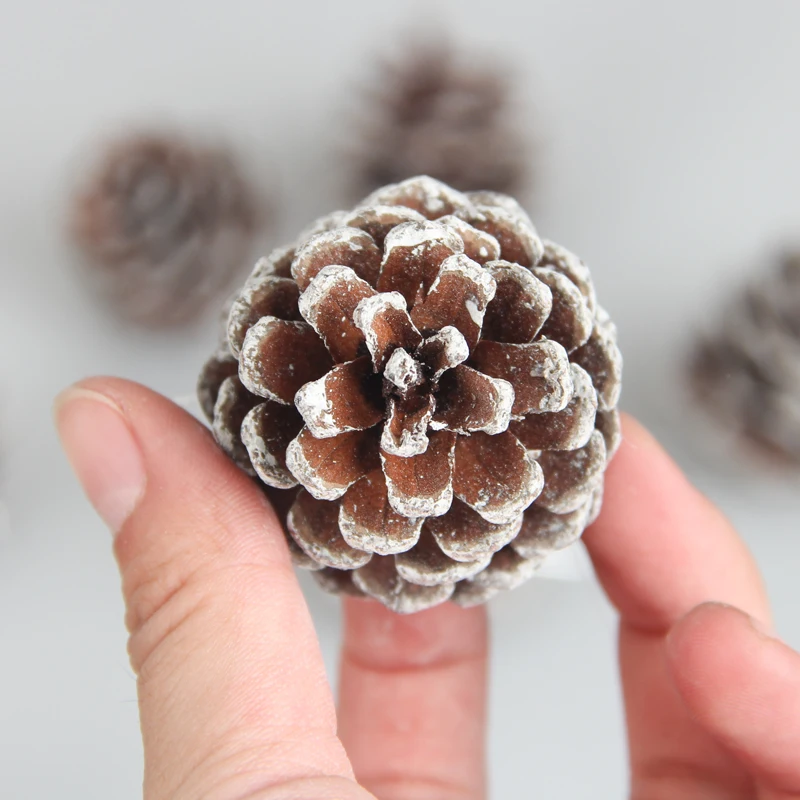 6 шт./компл. орнаменты для рождественой елки подвесные шары кедровые орехи шишка