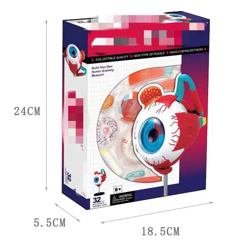 Eyeball 4D биологические развивающие игрушки собранные человеческие органы висцеральное сердце анатомическая модель биологические игрушки головоломка - Цвет: Eyeball