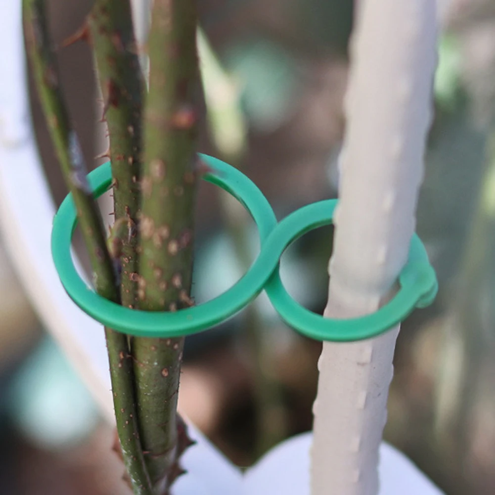 

Plant Climbing Wall Self-adhesive Fastener Tied Fixture Vine Buckle Hook Wall climbing Vine Clips Fixed Buckle Hook